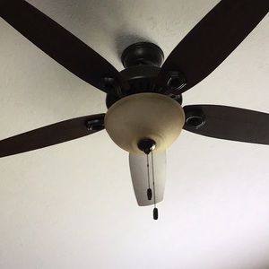 Meet your Posher, Thomasina r